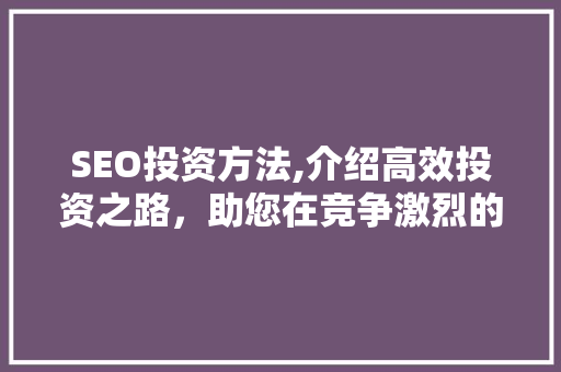 SEO投资方法,介绍高效投资之路，助您在竞争激烈的市场中脱颖而出 Web前端