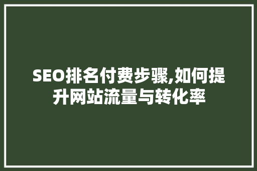 SEO排名付费步骤,如何提升网站流量与转化率 服务器/数据库