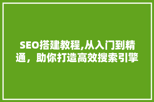 SEO搭建教程,从入门到精通，助你打造高效搜索引擎优化步骤 服务器/数据库