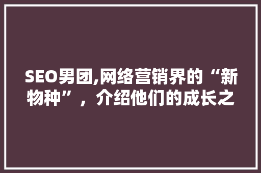 SEO男团,网络营销界的“新物种”，介绍他们的成长之路