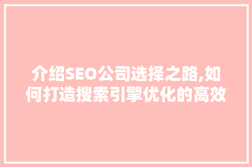 介绍SEO公司选择之路,如何打造搜索引擎优化的高效之路