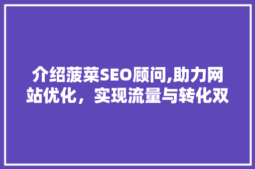 介绍菠菜SEO顾问,助力网站优化，实现流量与转化双丰收