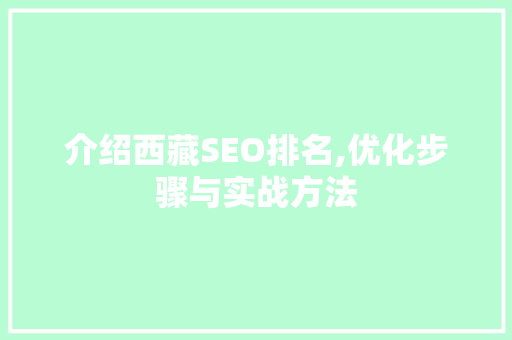 介绍西藏SEO排名,优化步骤与实战方法