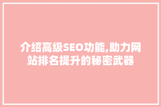 介绍高级SEO功能,助力网站排名提升的秘密武器
