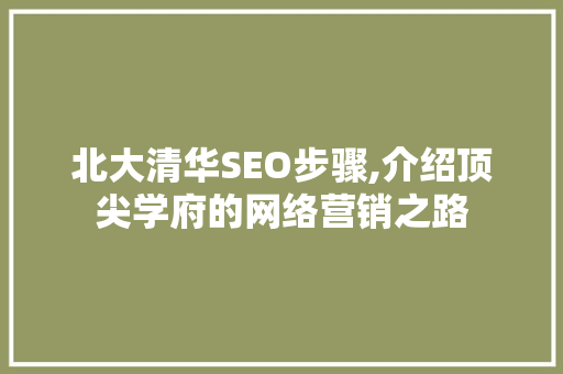 北大清华SEO步骤,介绍顶尖学府的网络营销之路 WordPress教程