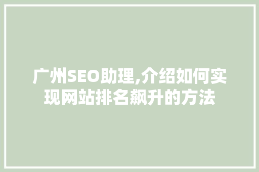 广州SEO助理,介绍如何实现网站排名飙升的方法