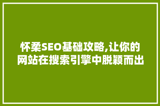 怀柔SEO基础攻略,让你的网站在搜索引擎中脱颖而出