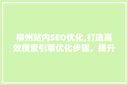 柳州站内SEO优化,打造高效搜索引擎优化步骤，提升网站流量与转化率