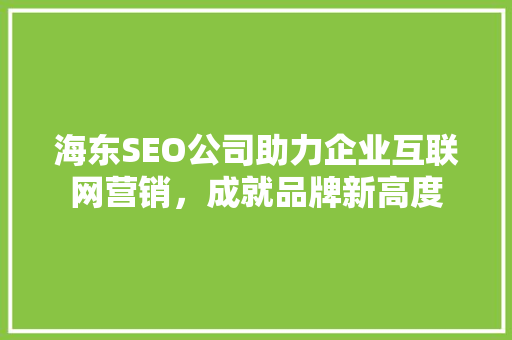 海东SEO公司助力企业互联网营销，成就品牌新高度