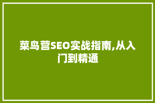 菜鸟营SEO实战指南,从入门到精通 服务器/数据库