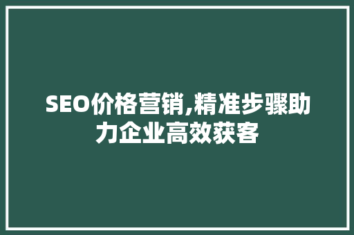 SEO价格营销,精准步骤助力企业高效获客