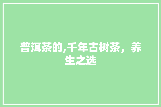 普洱茶的,千年古树茶，养生之选