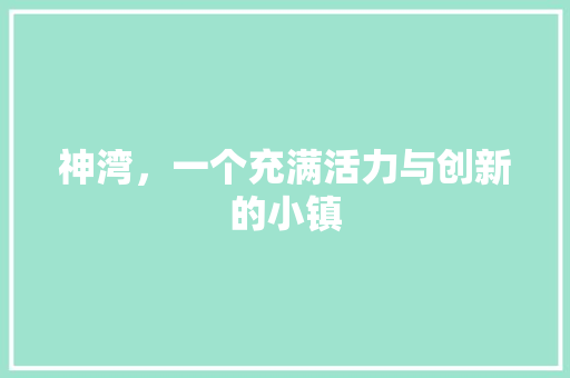 神湾，一个充满活力与创新的小镇 Web前端