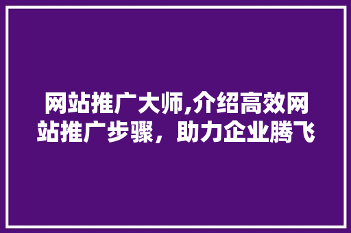 网站推广大师,介绍高效网站推广步骤，助力企业腾飞 Web前端