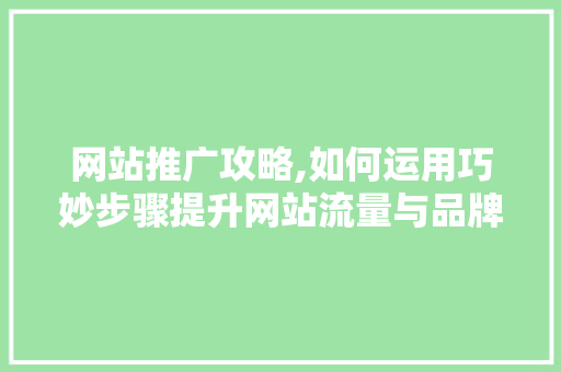 网站推广攻略,如何运用巧妙步骤提升网站流量与品牌知名度 SEO教程