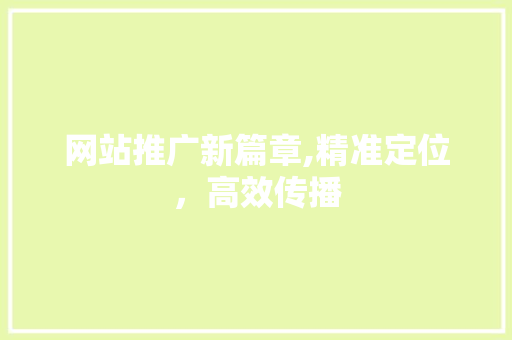 网站推广新篇章,精准定位，高效传播