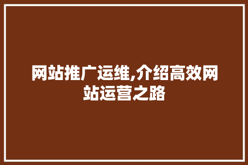 网站推广运维,介绍高效网站运营之路 服务器/数据库