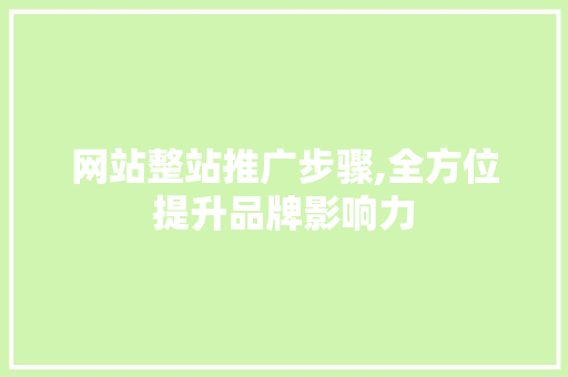 网站整站推广步骤,全方位提升品牌影响力