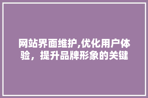 网站界面维护,优化用户体验，提升品牌形象的关键