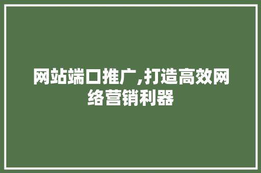 网站端口推广,打造高效网络营销利器