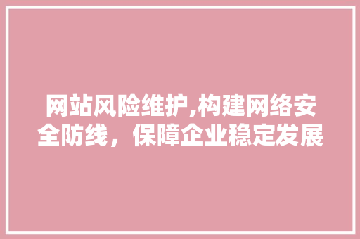 网站风险维护,构建网络安全防线，保障企业稳定发展 SEO教程