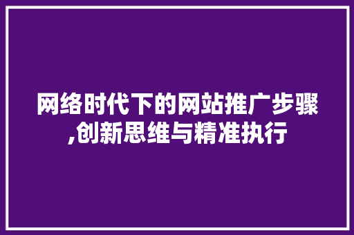 网络时代下的网站推广步骤,创新思维与精准执行 WordPress教程