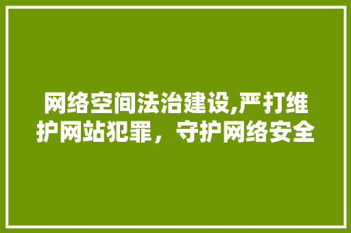 网络空间法治建设,严打维护网站犯罪，守护网络安全 建站教程
