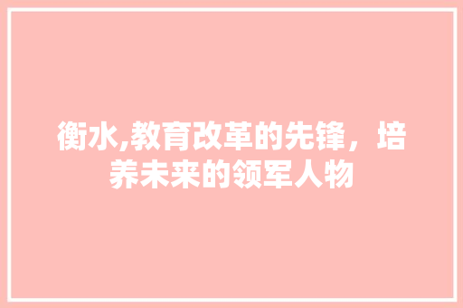 衡水,教育改革的先锋，培养未来的领军人物