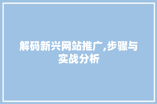 解码新兴网站推广,步骤与实战分析