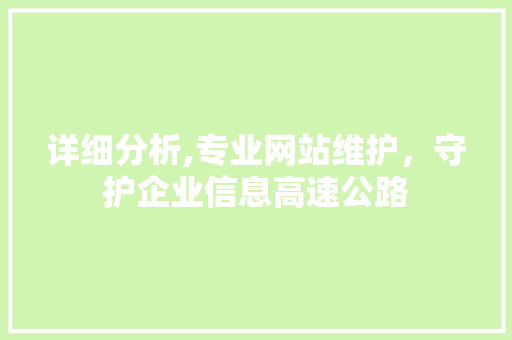 详细分析,专业网站维护，守护企业信息高速公路