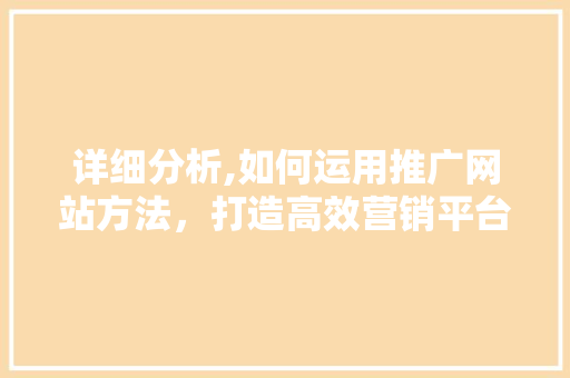 详细分析,如何运用推广网站方法，打造高效营销平台