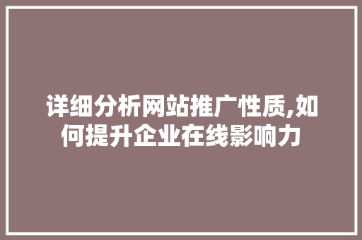 详细分析网站推广性质,如何提升企业在线影响力 建站教程