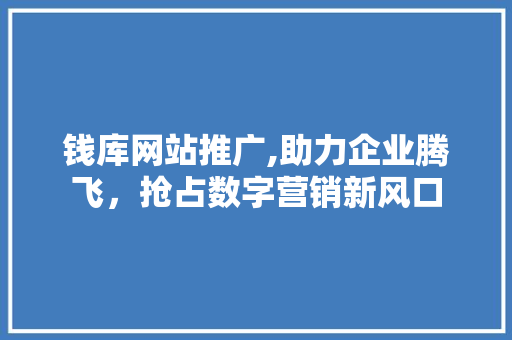 钱库网站推广,助力企业腾飞，抢占数字营销新风口