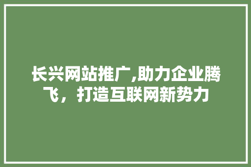 长兴网站推广,助力企业腾飞，打造互联网新势力