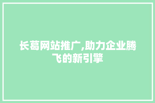 长葛网站推广,助力企业腾飞的新引擎