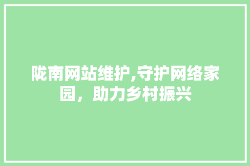 陇南网站维护,守护网络家园，助力乡村振兴