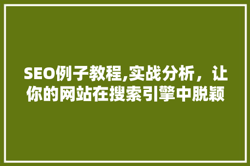 SEO例子教程,实战分析，让你的网站在搜索引擎中脱颖而出