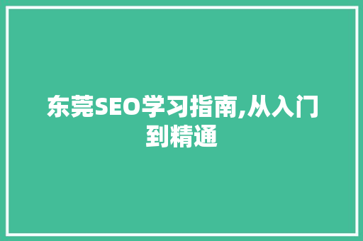 东莞SEO学习指南,从入门到精通 SEO教程