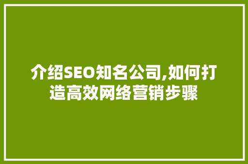 介绍SEO知名公司,如何打造高效网络营销步骤