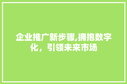 企业推广新步骤,拥抱数字化，引领未来市场