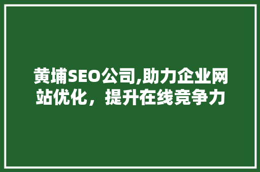 黄埔SEO公司,助力企业网站优化，提升在线竞争力