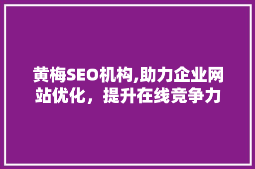 黄梅SEO机构,助力企业网站优化，提升在线竞争力