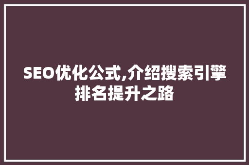 SEO优化公式,介绍搜索引擎排名提升之路 WordPress教程