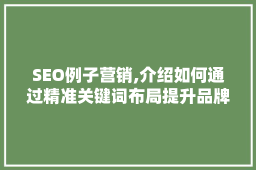 SEO例子营销,介绍如何通过精准关键词布局提升品牌影响力 服务器/数据库