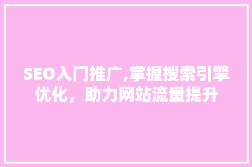 SEO入门推广,掌握搜索引擎优化，助力网站流量提升 WordPress教程