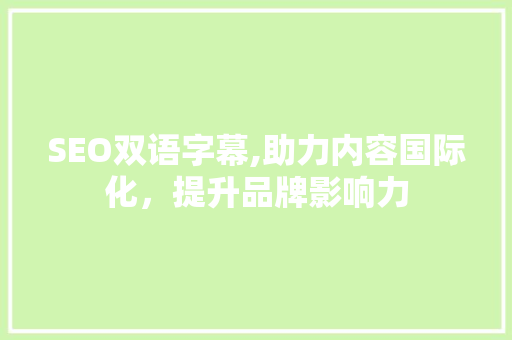 SEO双语字幕,助力内容国际化，提升品牌影响力 WordPress教程
