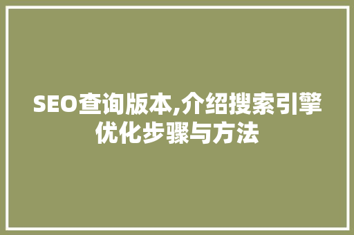 SEO查询版本,介绍搜索引擎优化步骤与方法