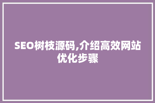 SEO树枝源码,介绍高效网站优化步骤
