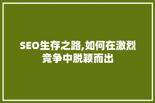 SEO生存之路,如何在激烈竞争中脱颖而出 Web前端