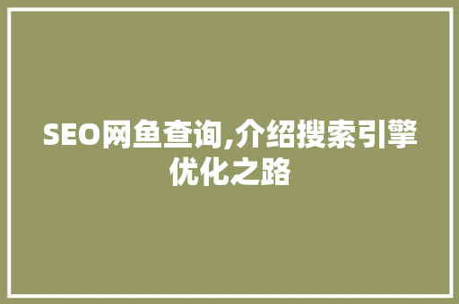 SEO网鱼查询,介绍搜索引擎优化之路 Web前端